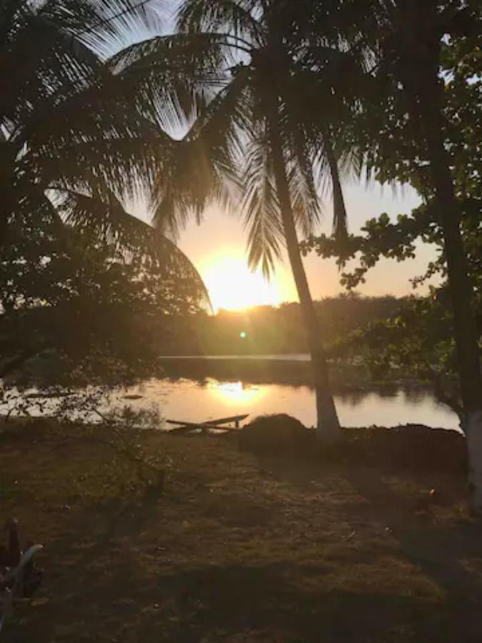 Pe Na Areia Vista Total Mar - O Paraiso E Aqui! Salvador Eksteriør billede