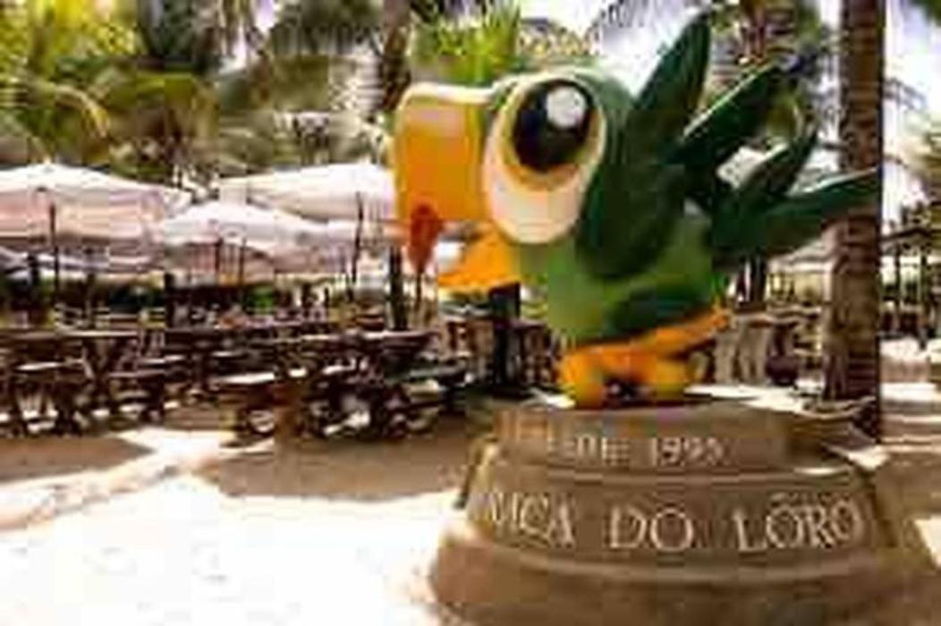 Pe Na Areia Vista Total Mar - O Paraiso E Aqui! Salvador Eksteriør billede