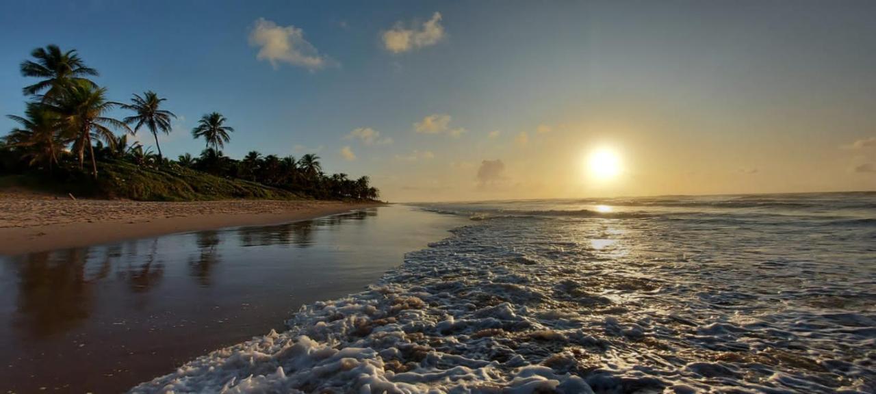 Pe Na Areia Vista Total Mar - O Paraiso E Aqui! Salvador Eksteriør billede