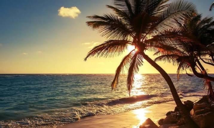 Pe Na Areia Vista Total Mar - O Paraiso E Aqui! Salvador Eksteriør billede